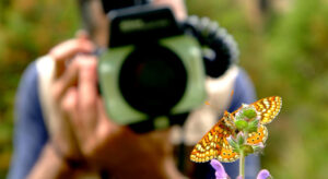 01 foto mariposas ok