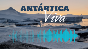 portada-Antartica-Viva